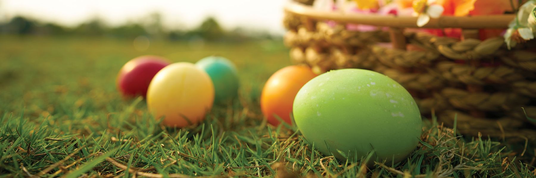 13 Ways to Celebrate Easter in St Louis