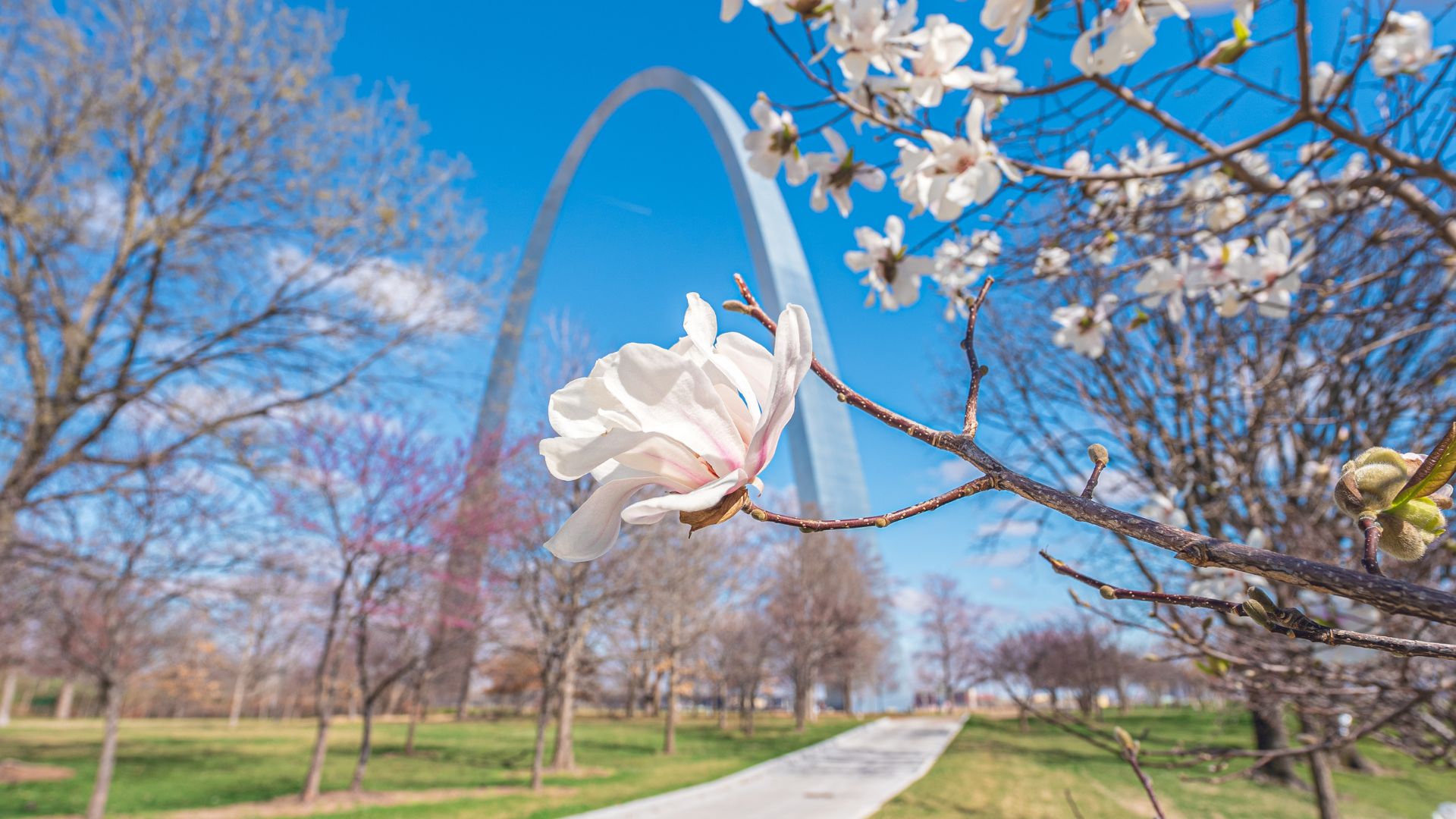 Bucket List Travel: Spring Break in St Louis